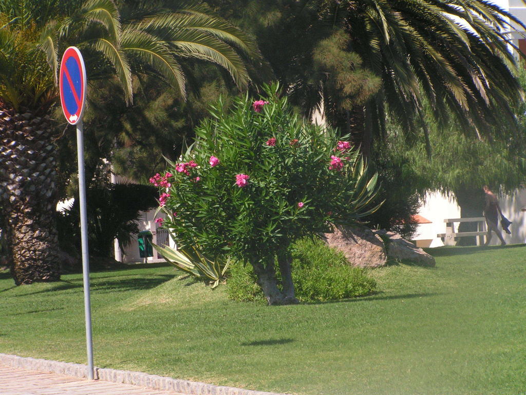 Iberlagos Dış mekan fotoğraf